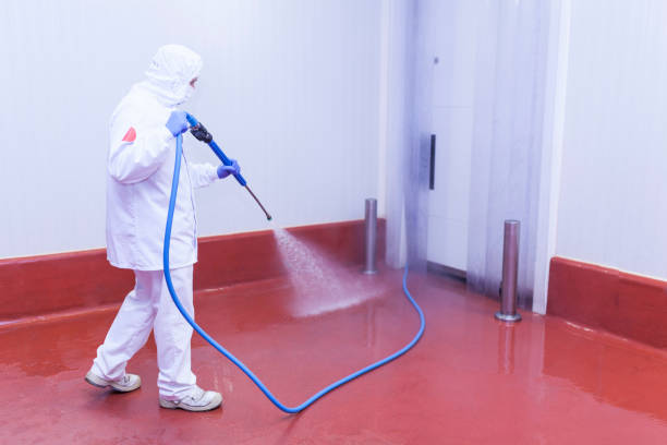 Best Graffiti Removal  in Hilliard, FL